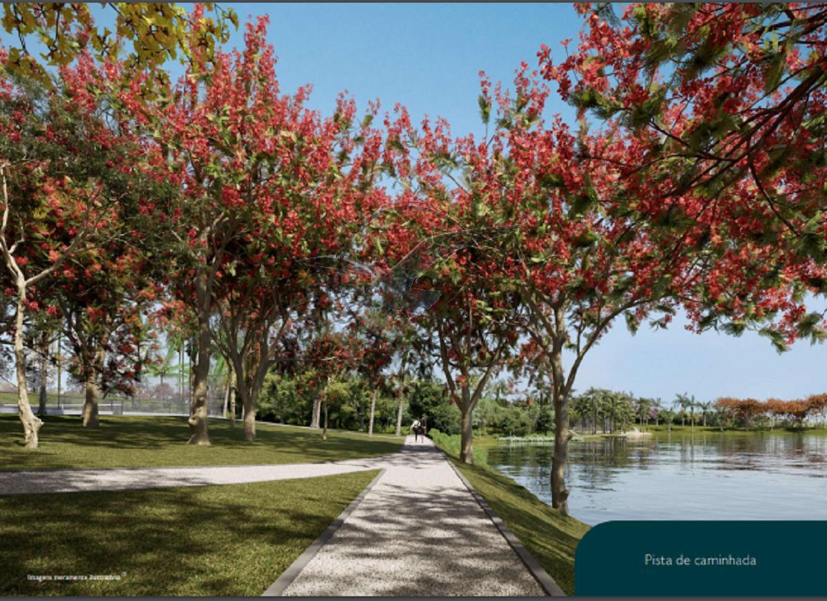 Terreno, 500 m² - Foto 4