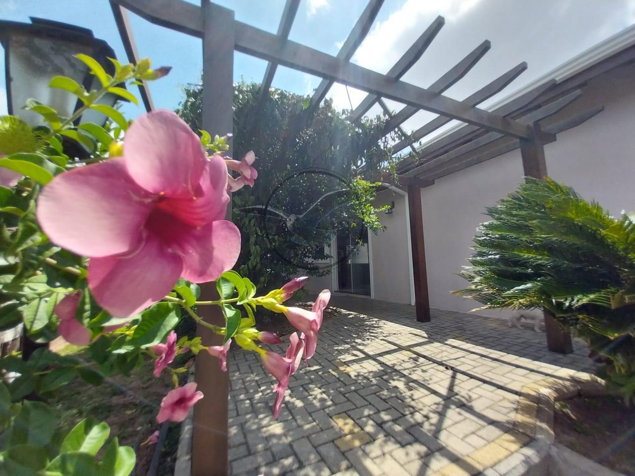 Chácara, 2 quartos, 1000 m² - Foto 35