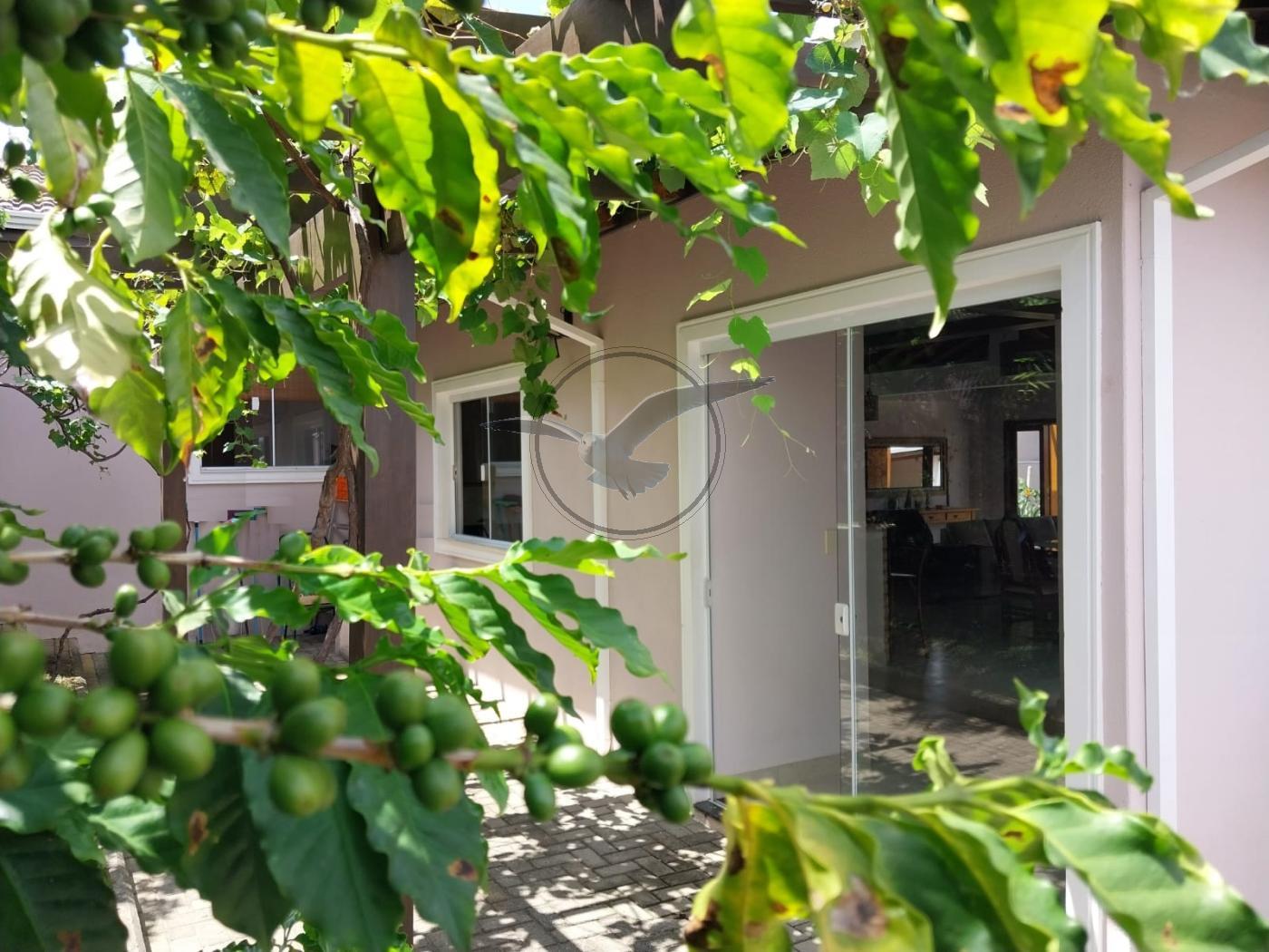 Chácara, 2 quartos, 1000 m² - Foto 36